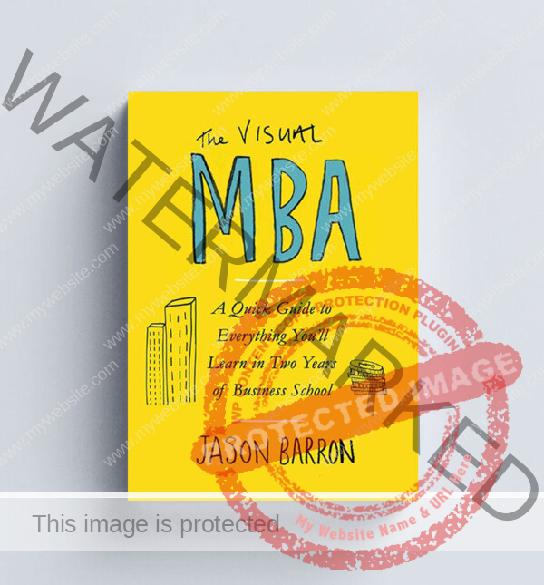 The Visual MBA